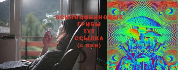 дмт Нефтекумск
